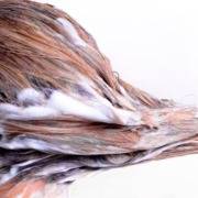 Lavare i capelli troppo spesso li rovina?