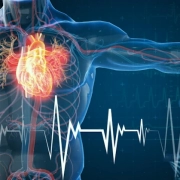 malattie cardiovascolari