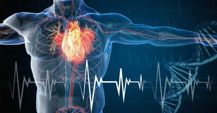 malattie-cardiovascolari malattie cardiovascolari