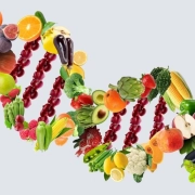 nutrigenetica