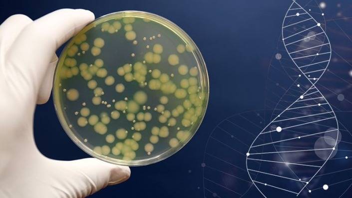 microbioma-parte-1