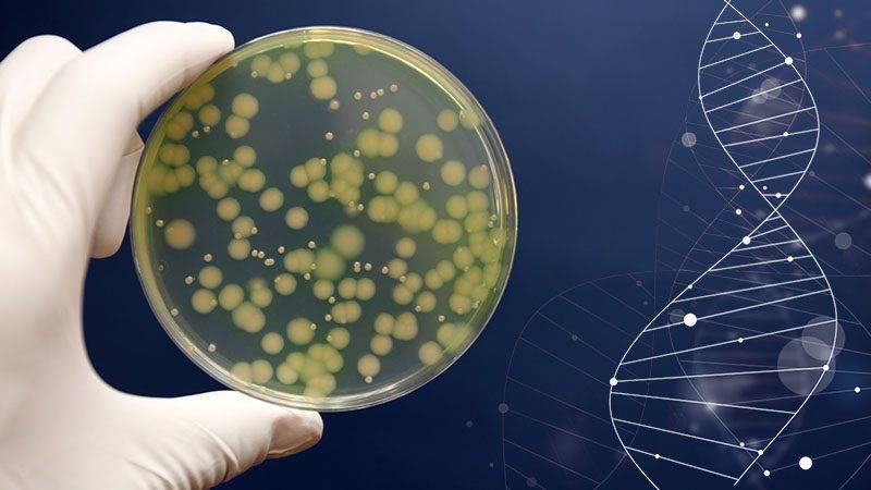 microbioma-parte-1
