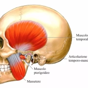 Trattamento Fisioterapico dell’Articolazione Temporo-Mandibolare: Importanza, Cosa Tratta e Chi lo Esegue