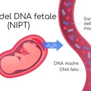 Test Genetici Prenatali: Cosa Sono, Quali Malattie Possono Rilevare e Perché Sono Importanti