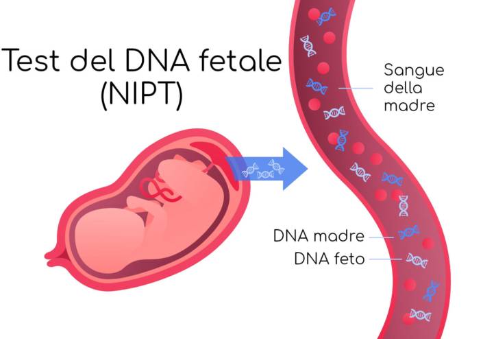 test-dna-fetale-rimini